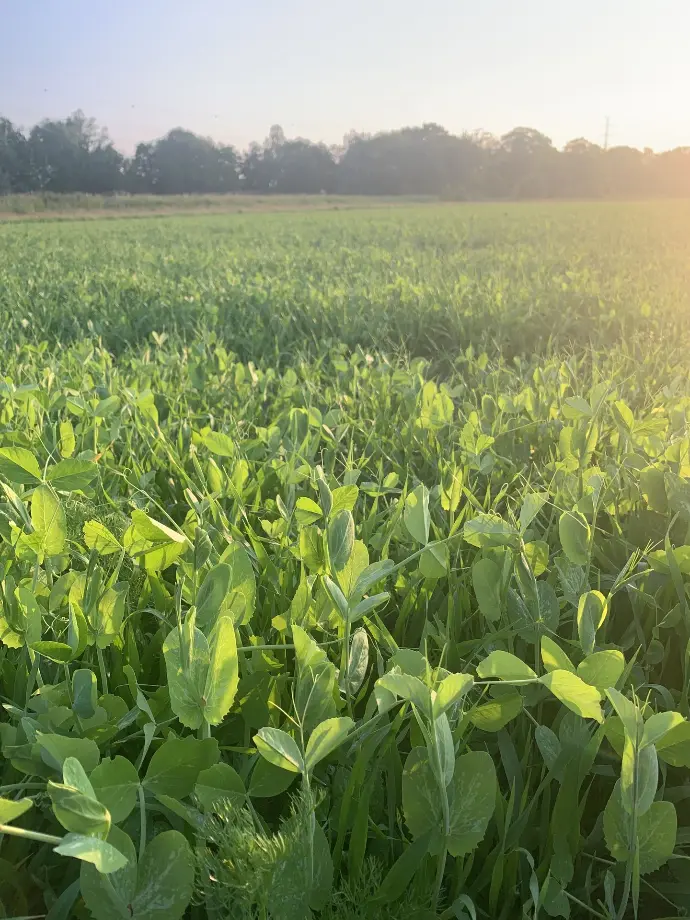 landschap als bron van verbinding