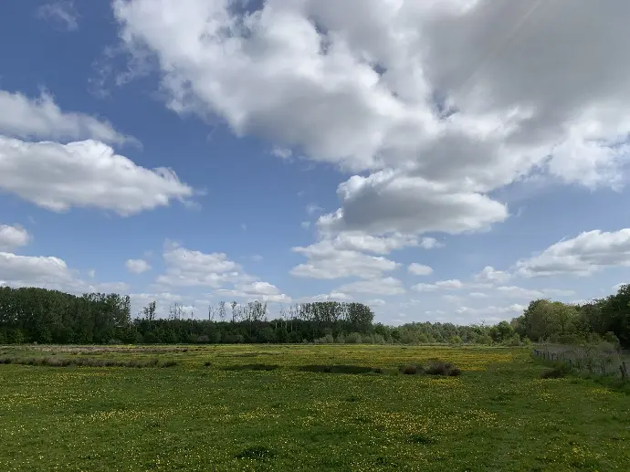 landschap om te ontspannen